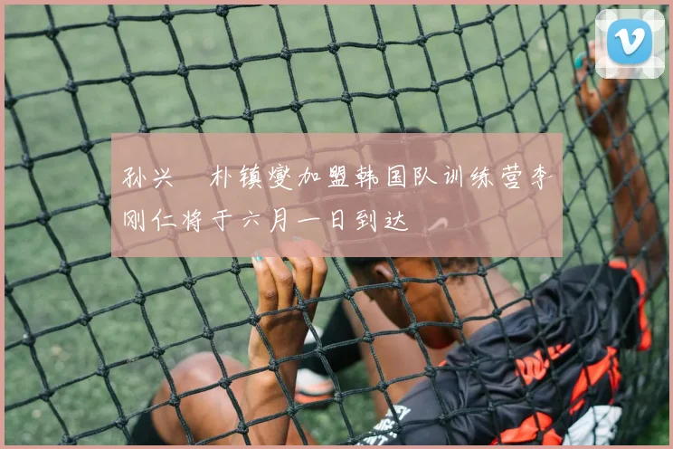 孙兴慜朴镇燮加盟韩国队训练营李刚仁将于六月一日到达