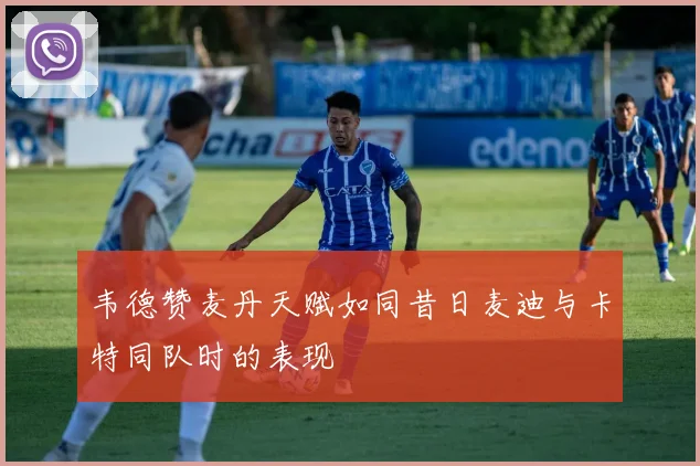 韦德赞麦丹天赋如同昔日麦迪与卡特同队时的表现