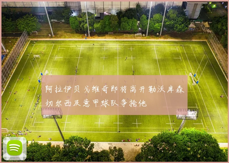 阿拉伊贝戈维奇即将离开勒沃库森切尔西及意甲球队争抢他