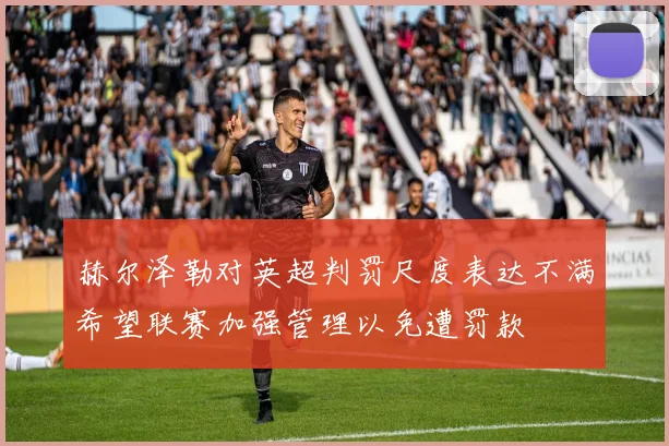 赫尔泽勒对英超判罚尺度表达不满希望联赛加强管理以免遭罚款